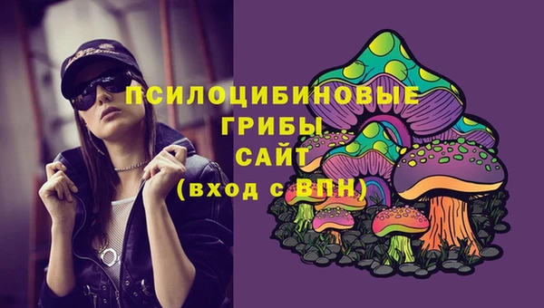a pvp Абинск