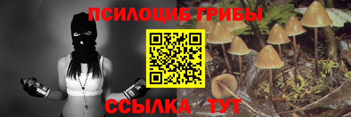 Псилоцибиновые грибы Cubensis Красноперекопск